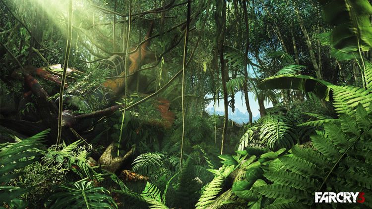 Screenshot zu Far Cry 3