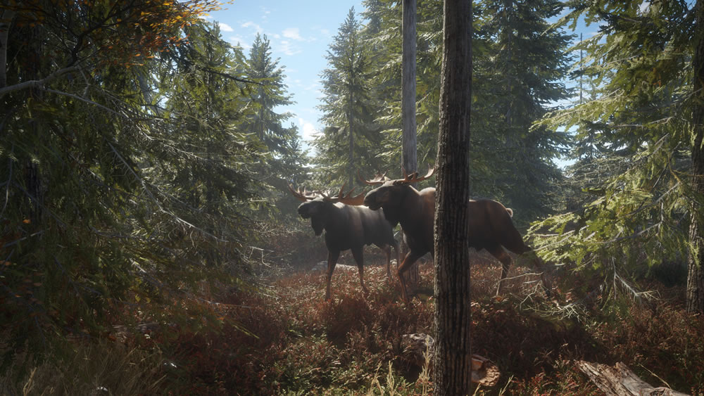 Screenshot zu theHunter: Call of the Wild